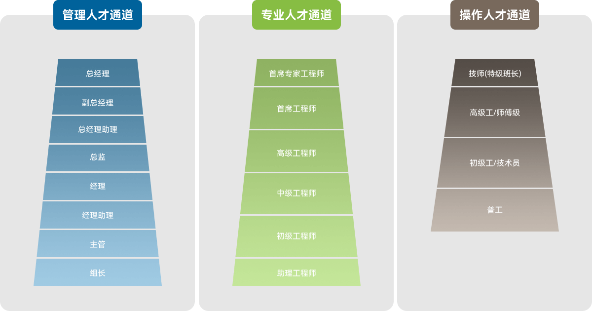 人才发展概述